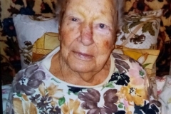 volkova-p-1-kopirovat