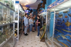 img_7230_obrabotano-kopirovat